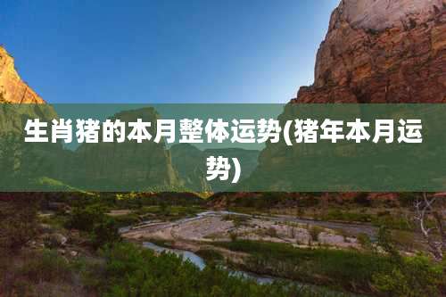 生肖猪的本月整体运势(猪年本月运势)