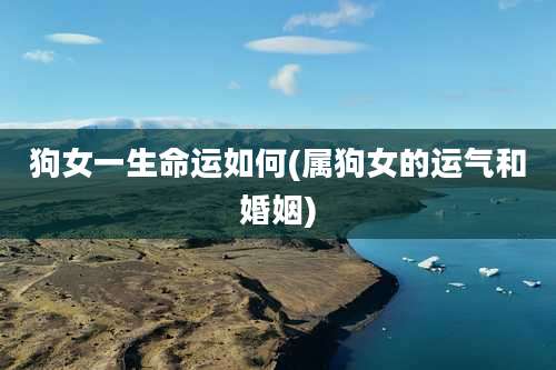狗女一生命运如何(属狗女的运气和婚姻)