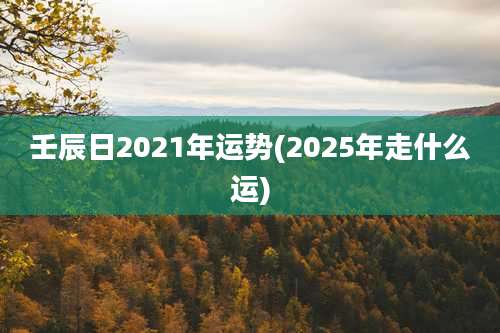 壬辰日2021年运势(2025年走什么运)