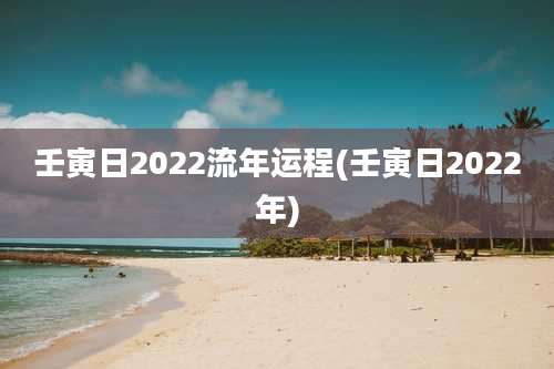 壬寅日2022流年运程(壬寅日2022年)