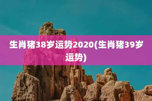 生肖猪38岁运势2020(生肖猪39岁运势)