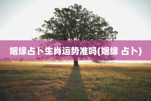 姻缘占卜生肖运势准吗(姻缘 占卜)