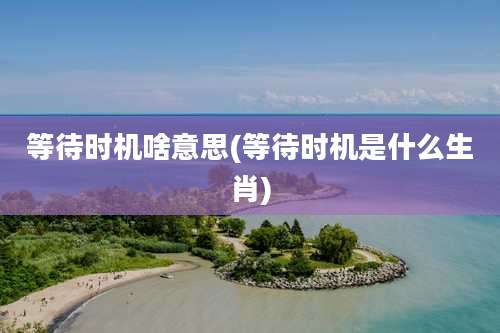 等待时机啥意思(等待时机是什么生肖)