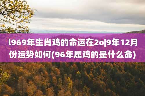 l969年生肖鸡的命运在2o|9年12月份运势如何(96年属鸡的是什么命)