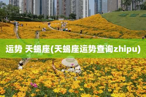 运势 天蝎座(天蝎座运势查询zhipu)