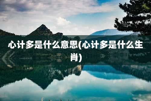 心计多是什么意思(心计多是什么生肖)
