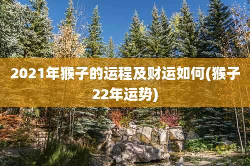 2021年猴子的运程及财运如何(猴子22年运势)