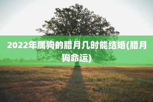 2022年属狗的腊月几时能结婚(腊月狗命运)