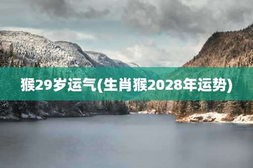 猴29岁运气(生肖猴2028年运势)