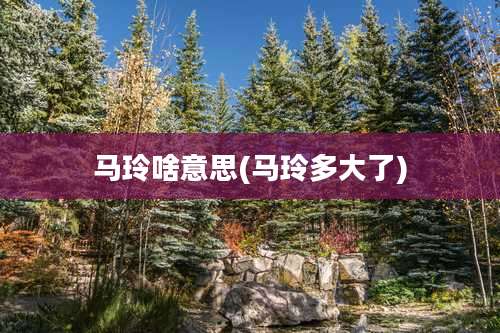 马玲啥意思(马玲多大了)