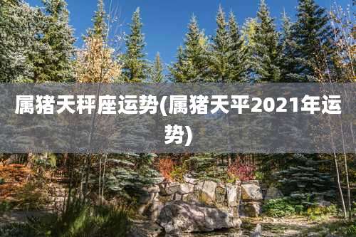 属猪天秤座运势(属猪天平2021年运势)
