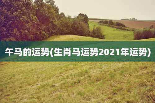 午马的运势(生肖马运势2021年运势)