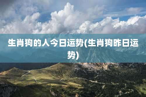 生肖狗的人今日运势(生肖狗昨日运势)