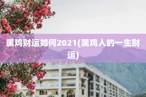 属鸡财运如何2021(属鸡人的一生财运)