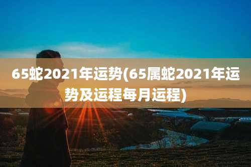 65蛇2021年运势(65属蛇2021年运势及运程每月运程)