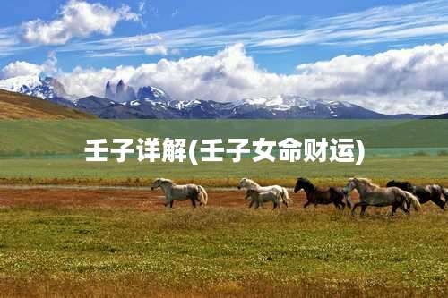 壬子详解(壬子女命财运)