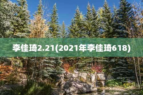 李佳琦2.21(2021年李佳琦618)