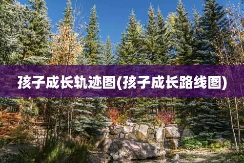 孩子成长轨迹图(孩子成长路线图)