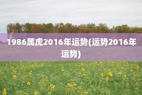 1986属虎2016年运势(运势2016年运势)