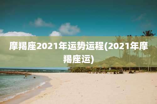 摩羯座2021年运势运程(2021年摩羯座运)