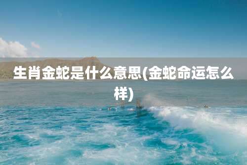 生肖金蛇是什么意思(金蛇命运怎么样)