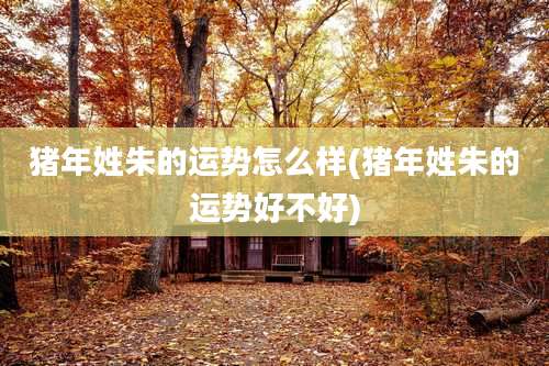 猪年姓朱的运势怎么样(猪年姓朱的运势好不好)