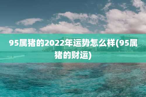 95属猪的2022年运势怎么样(95属猪的财运)