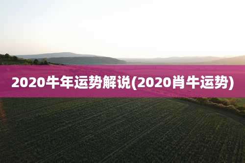 2020牛年运势解说(2020肖牛运势)