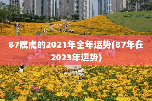 87属虎的2021年全年运势(87年在2023年运势)