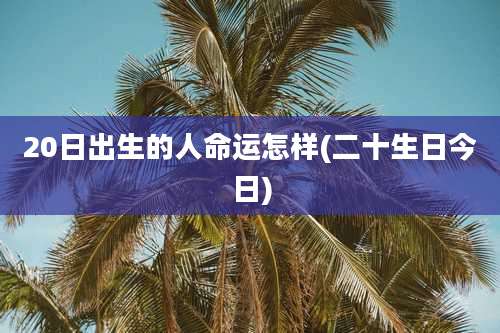 20日出生的人命运怎样(二十生日今日)