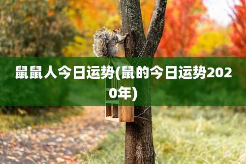 鼠鼠人今日运势(鼠的今日运势2020年)