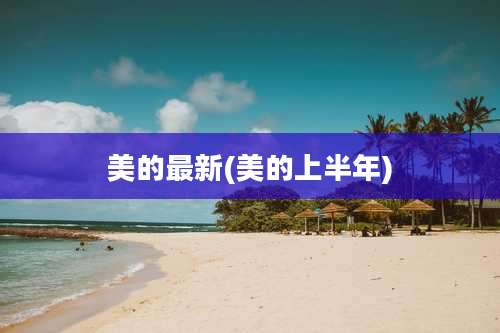 美的最新(美的上半年)