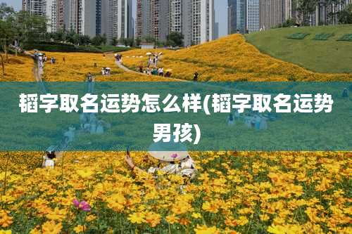 韬字取名运势怎么样(韬字取名运势男孩)