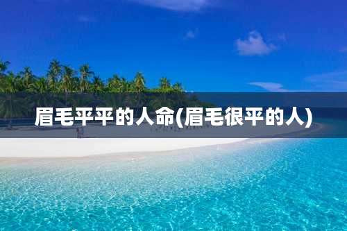 眉毛平平的人命(眉毛很平的人)