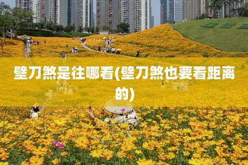 壁刀煞是往哪看(壁刀煞也要看距离的)