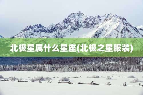 北极星属什么星座(北极之星服装)