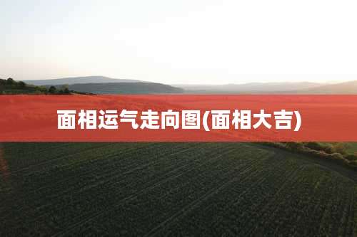 面相运气走向图(面相大吉)