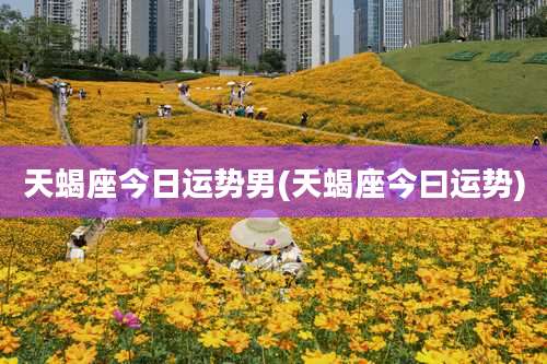 天蝎座今日运势男(天蝎座今曰运势)