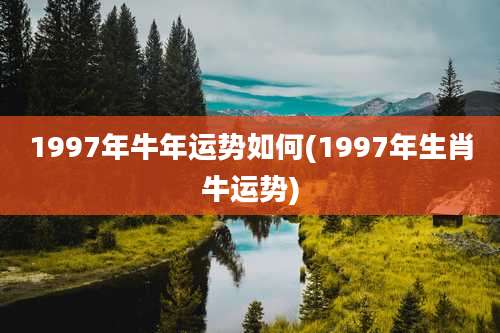 1997年牛年运势如何(1997年生肖牛运势)