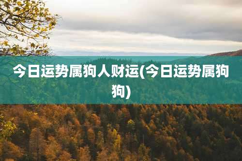 今日运势属狗人财运(今日运势属狗狗)