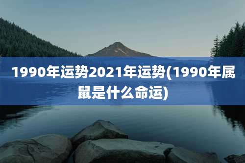 1990年运势2021年运势(1990年属鼠是什么命运)