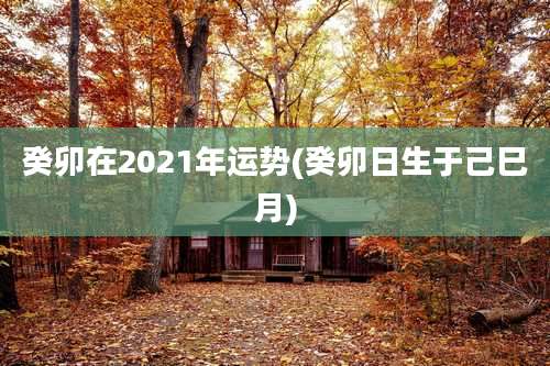 癸卯在2021年运势(癸卯日生于己巳月)