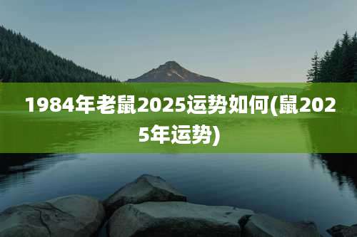 1984年老鼠2025运势如何(鼠2025年运势)