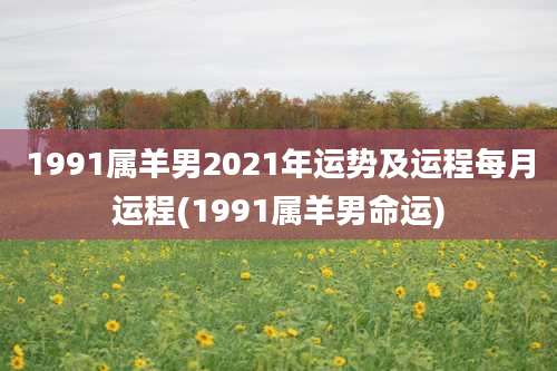 1991属羊男2021年运势及运程每月运程(1991属羊男命运)