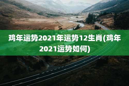 鸡年运势2021年运势12生肖(鸡年2021运势如何)