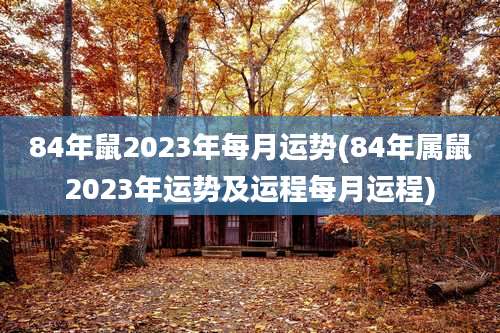 84年鼠2023年每月运势(84年属鼠2023年运势及运程每月运程)