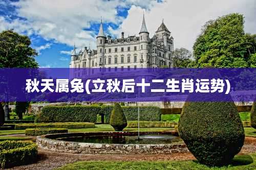 秋天属兔(立秋后十二生肖运势)