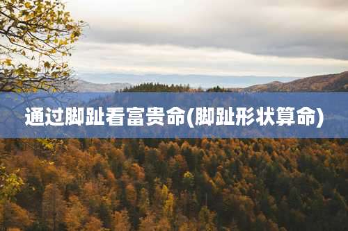 通过脚趾看富贵命(脚趾形状算命)