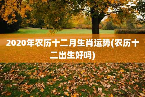 2020年农历十二月生肖运势(农历十二出生好吗)