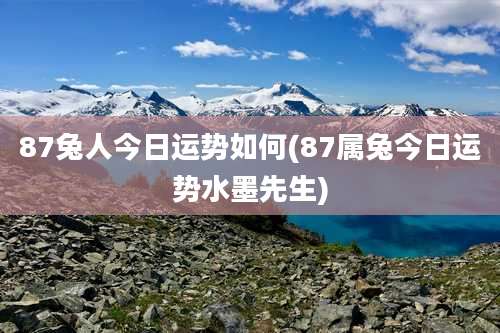 87兔人今日运势如何(87属兔今日运势水墨先生)